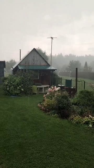 Шумный дождик 17.08.2025 смотреть онлайн