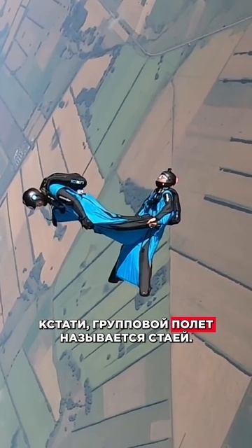 Самый ОАСНЫЙ вид спорта #экстрим #прыжокспарашютом #невероятно #страшно #опасно смотреть онлайн