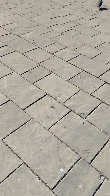 в атаку на голубей 🕊️🕊️🕊️🕊️ 🍍🍍🍍🍍🍍🍍🍍🍍🍍🍍🍍иди в 🍍🍍🍍🍍🍍🍍🍍🍍🍍это я голубям смотреть онлайн
