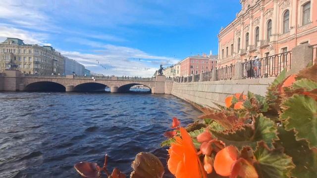 Питер❤️🔥