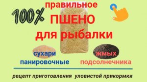 Прикормка для рыбалки. Пшено для рыбалки.