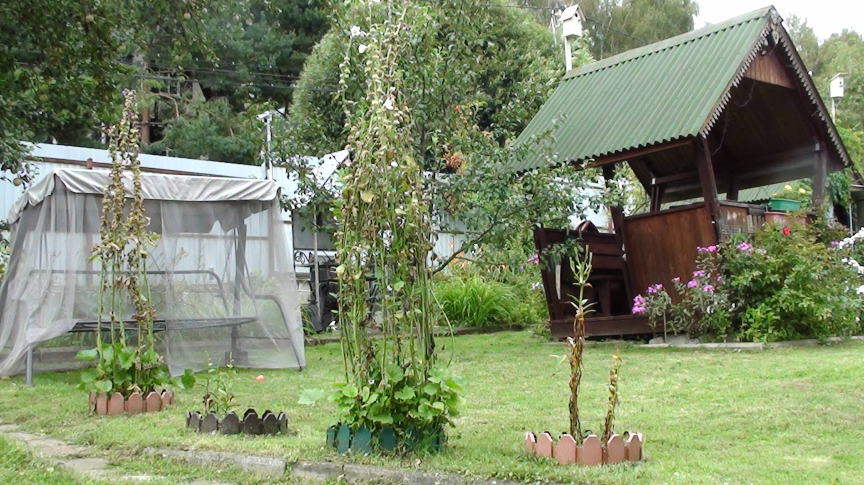 На даче после ремонта кухни// Обзор по участку. смотреть онлайн