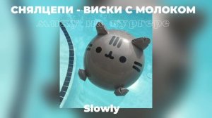 снялцепи - виск! с молоком slowed версия