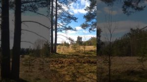 №90 Гармонизация и балансировка многомерных пространств