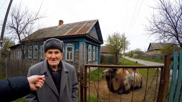 Дедушкин верблюд смотреть онлайн