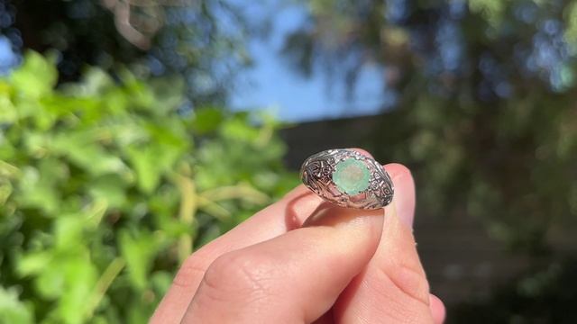 САМОЦВЕТЫ В ОГРАНКЕ 🌺 22.08.2025 смотреть онлайн