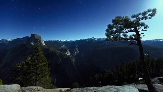 Животные смотреть онлайн