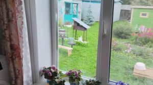 Занимаюсь заготовками ,завели мотоблок.