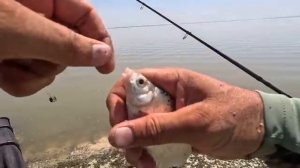 Рыбалка на водохранилище, и турнир по фидерной ловле, донка.