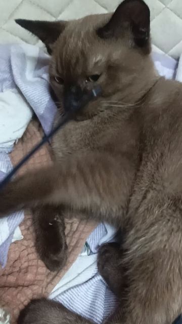 Такими вырастут девочки) Мона др 10 февраля