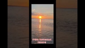 Не возвращайтесь туда, где вас давно не любят 💔 19-08-2025
