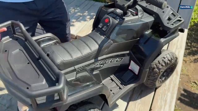 Детский электроквадроцикл X Robust XMX651 24V 4WD