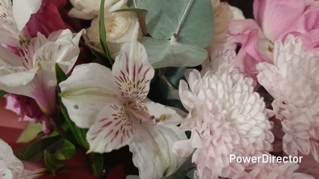 🏡 Купили мясорубку. Опять закатки 👍🥰 смотреть онлайн