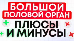 Плюсы и минусы большого полового органа у мужчин