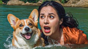 КАК МЫ ЧЕЛОВЕЧИХУ ТЁТЬКУ ИЗ РЕЧКИ СПАСАЛИ!! Корги Кекс Говорящая собака