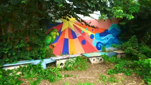 элли ди кюрасао смотреть онлайн