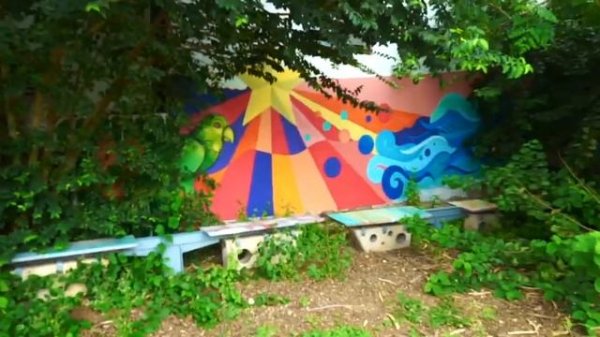 элли ди кюрасао