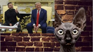 И только Литва ничего не боялась / Кот Костян