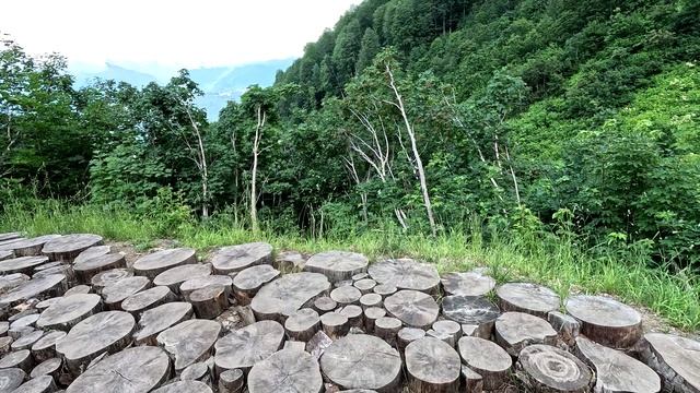 Водопад в горах Абхазии смотреть онлайн