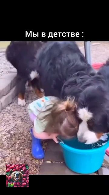 Детство 😁😅😇 смотреть онлайн