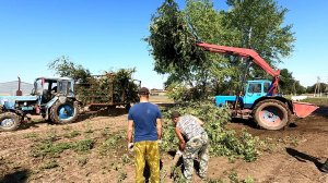 У нас прошел ураган! Убираем последствия!