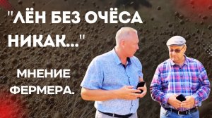 Уборка льна очёсом: технология и преимущества. Опыт фермера #лён #уборкальна #очёс