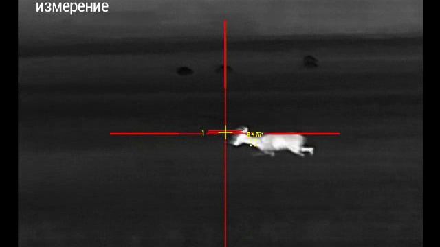 ФОТООХОТА 06.08