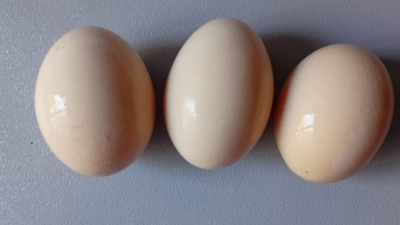 Сразу три способа как покрасить яйца на Пасху смотреть онлайн