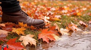 Уходит лето 🍂 Песня