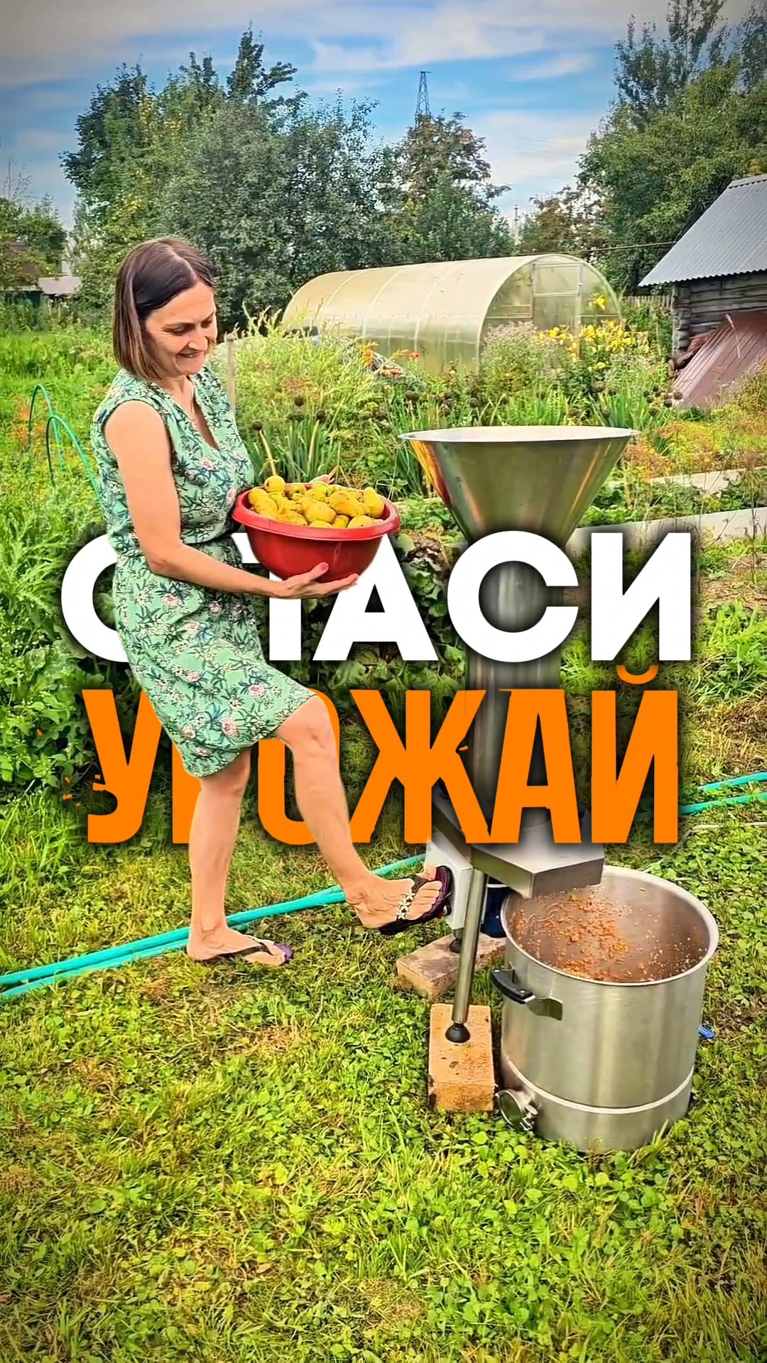 Тонну яблок и груш за вечер . Мини-завод на даче #сок #уборкаурожая #соковыжималка #ректифай смотреть онлайн