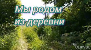 МЫ РОДОМ ИЗ ДЕРЕВНИ