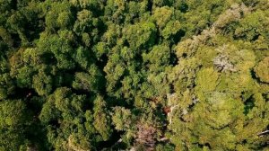 Как уснуть за 2 минуты. Секретная методика!