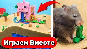 ЛАБИРИНТ ИЗ МУЛЬТИКА ДЛЯ УМНОГО ХОМЯКА 🐹 ВИДЕО ДЛЯ ДЕТЕЙ