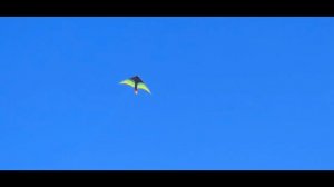 Отпуск. Морские зарисовки