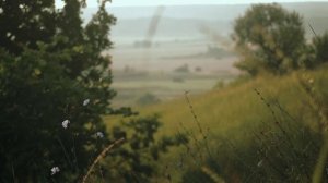 Ранняя осень