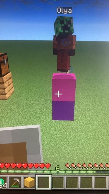 Minecraft,но мы снова играем в угадай персонажа!