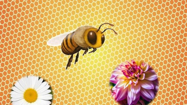 ПЧЁЛКА. минутка отдыха смотреть онлайн