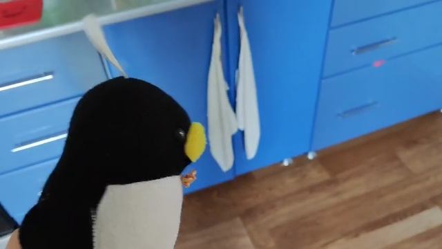 Penguin №23 Crying SpongeBob