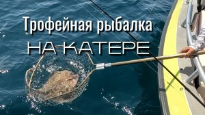 УСКОРЕНИЕ, БОРЬБА, ТРИУМФ! Влетаем в море на катере-звере и выдираем трофейного ската! | Геленджик