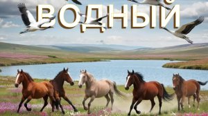 ОСТОРОЖНО -  дикие мустанги, змеи и клещи!  Приехали на необитаемый остров #влог