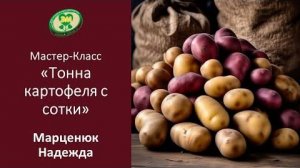Как получить тонну картофеля с одной сотки. Марценюк Надежда
