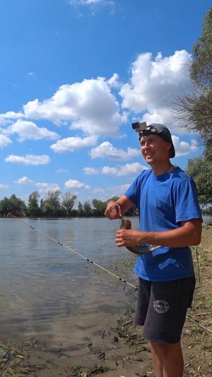 РЖУТ НАД РЫБАКОМ #астраханскийклев