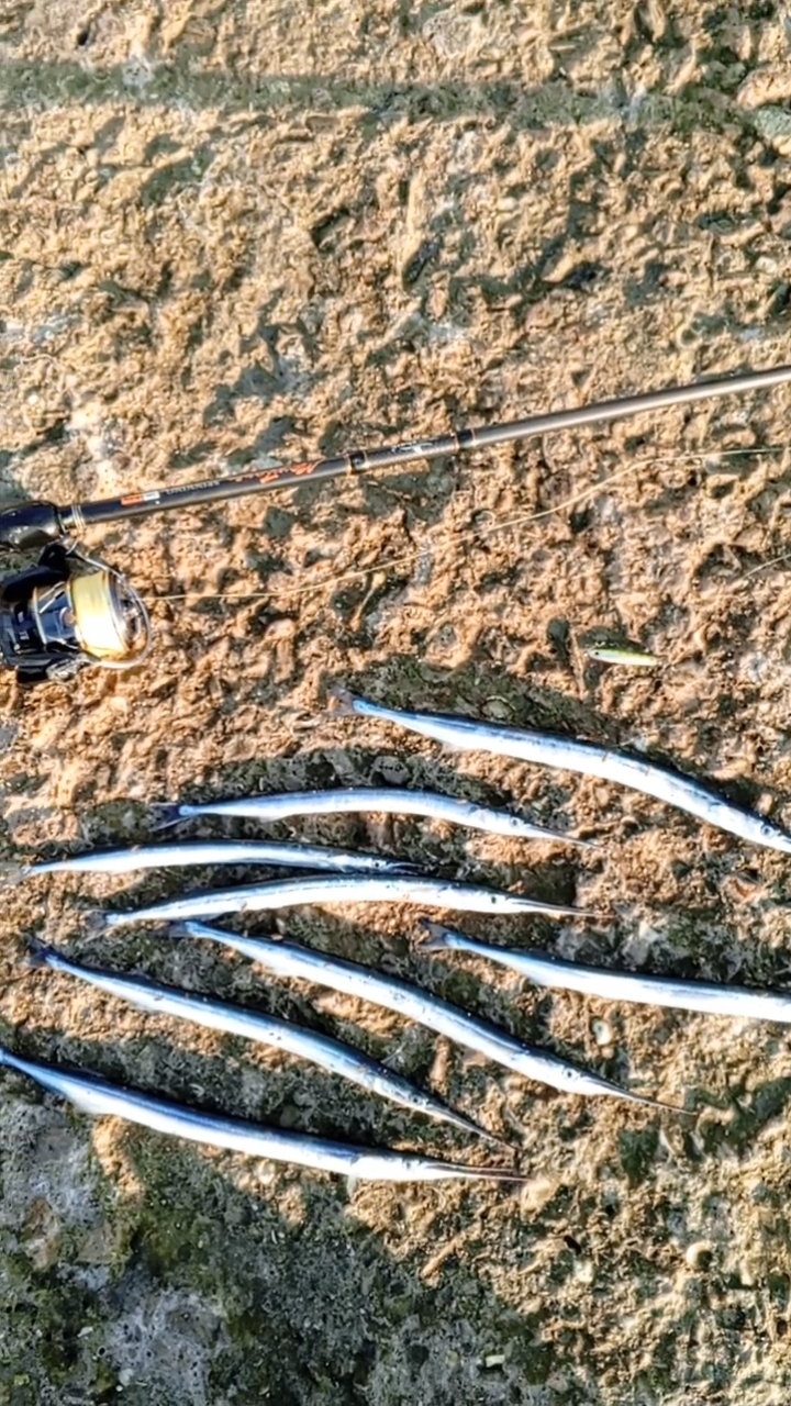 Seryoga Fishing Yalta