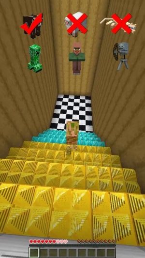 Who Win🫣 #minecraft #shorts #viral