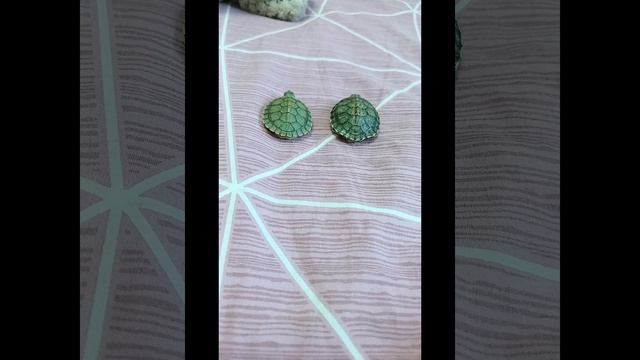 Черепашата перешли в институт