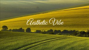 Chillout Playlist/Aesthetic Vibe Music