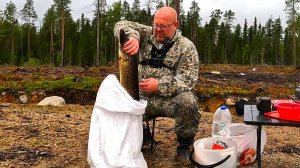 Рыбалка в Карелии. Трофейная щука на новом озере. Окуни на каждом забросе.