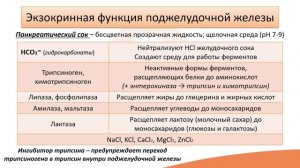 Видео-лекция №18.1 Поджелудочная железа