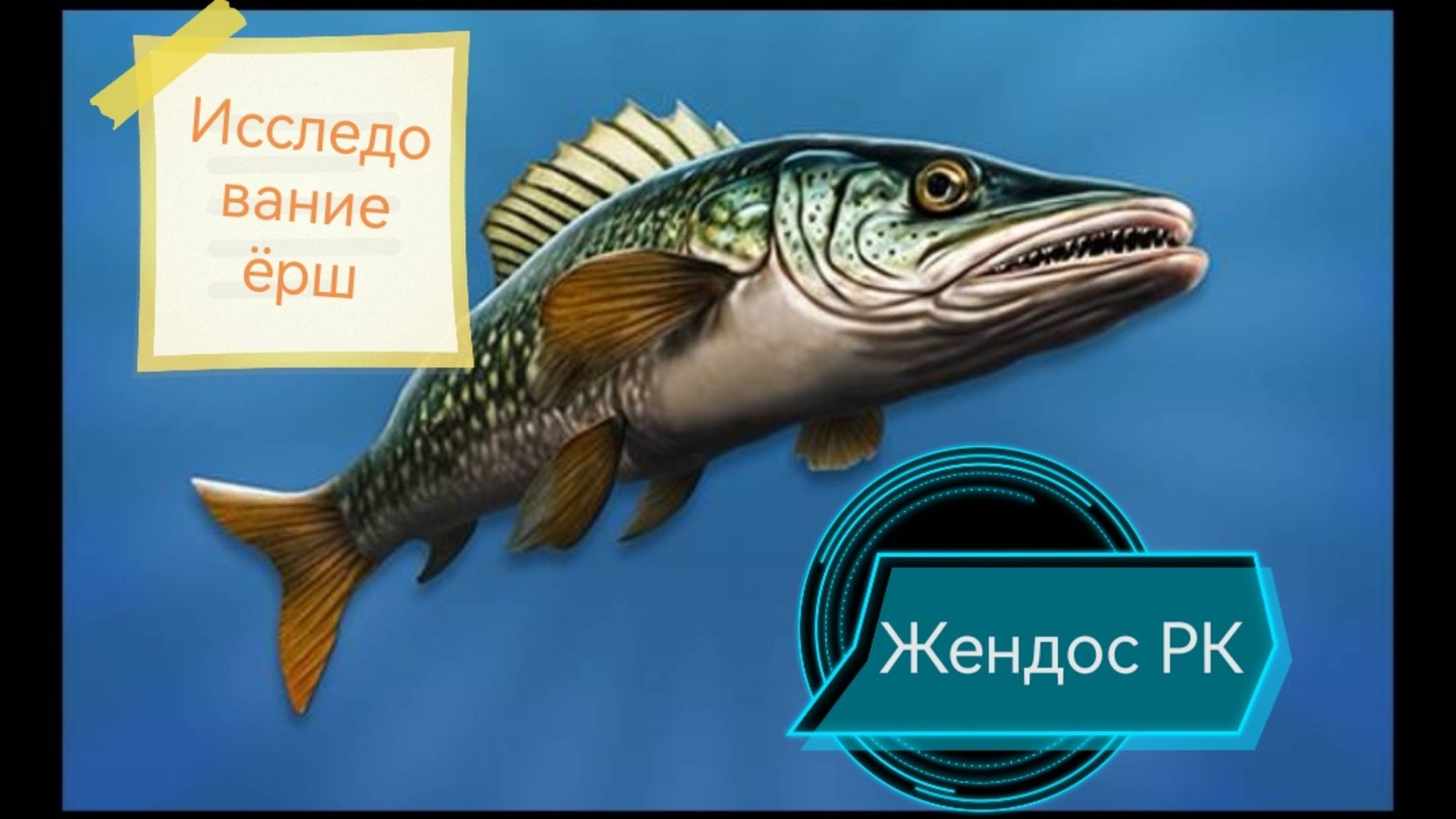 Реальная рыбалка 2. Исследование ёрш на карасевом смотреть онлайн