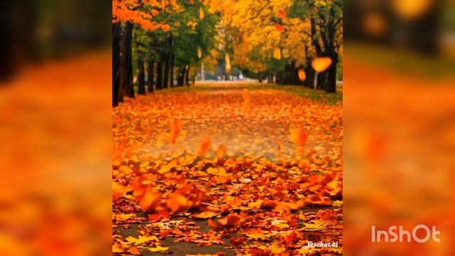 Крылья осени